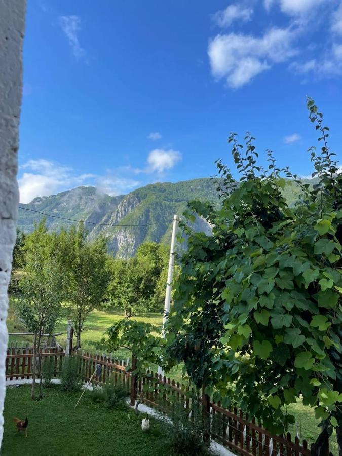 Marash Rrgalla Guesthouse Theth Εξωτερικό φωτογραφία